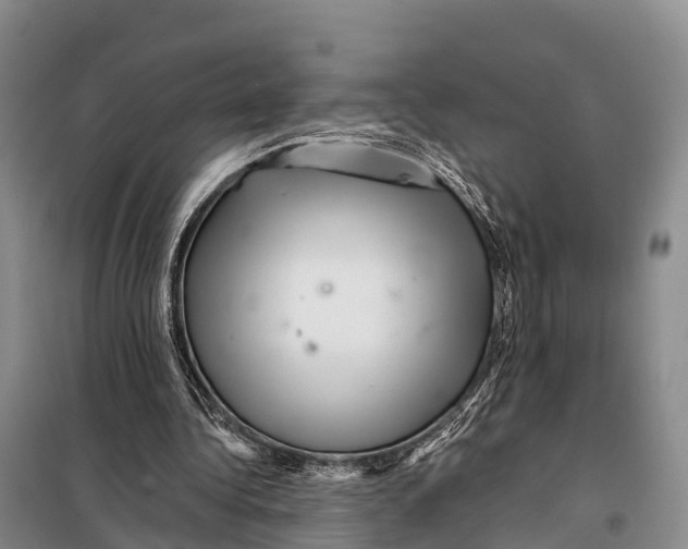 X0000098010340200804251119