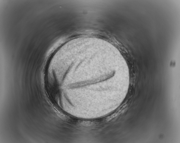 X0000098010341200804251119