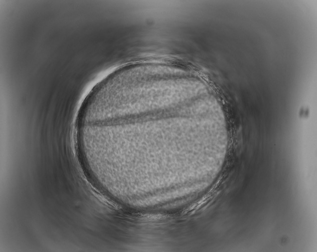 X0000098010342200804251119