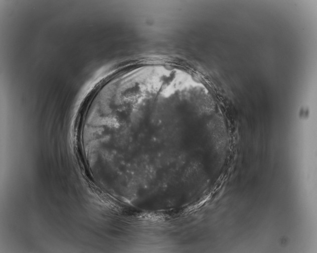 X0000098010343200804251119