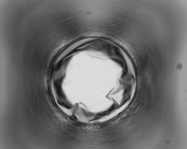 X0000098010345200804251119