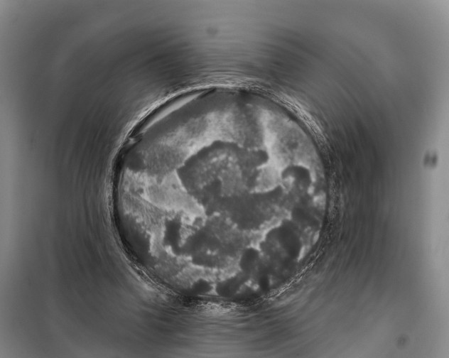 X0000098010346200804251119