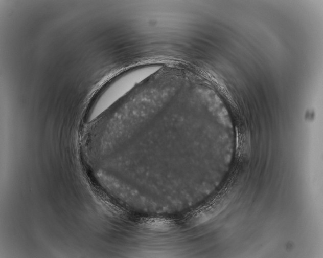 X0000098010348200804251119