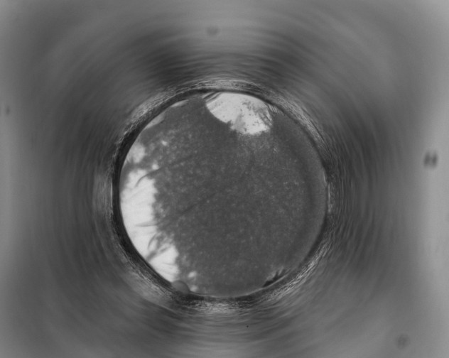 X0000098010349200804251119