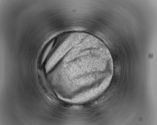 X0000098010350200804251119