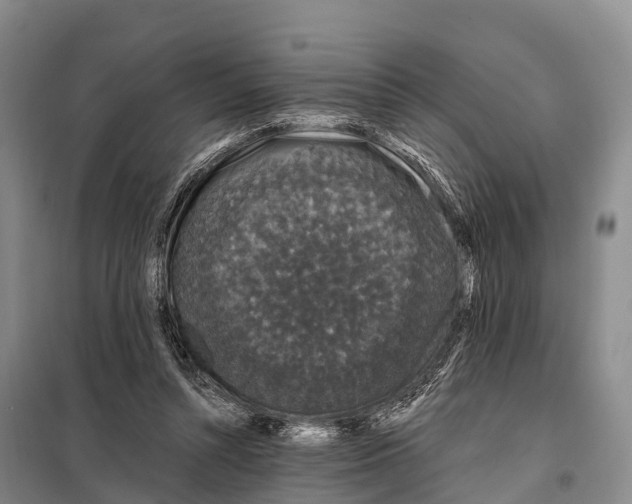 X0000098010352200804251119