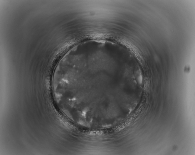 X0000098010353200804251119