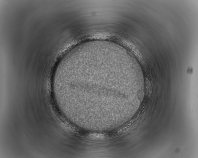 X0000098010354200804251119