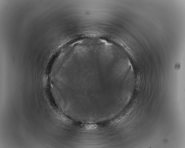 X0000098010355200804251119