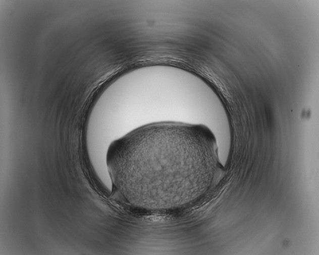 X0000098010356200804251119