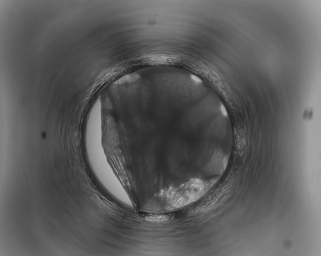 X0000098010357200804251119