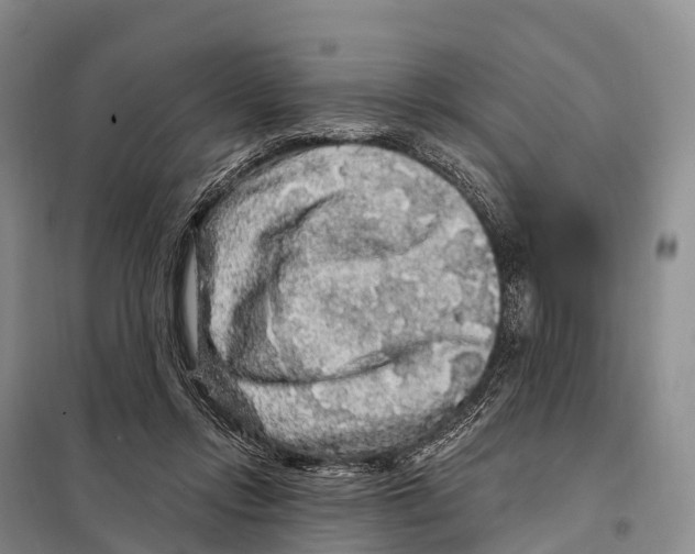 X0000098010358200804251119