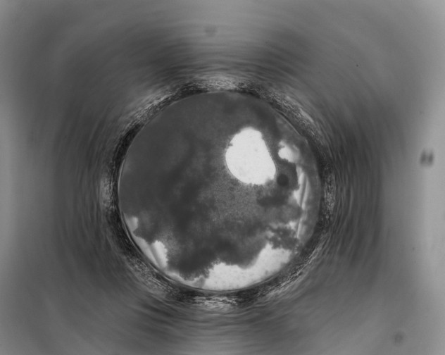 X0000098010359200804251119