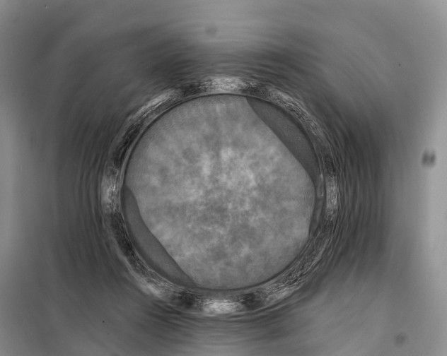 X0000098010360200804251119