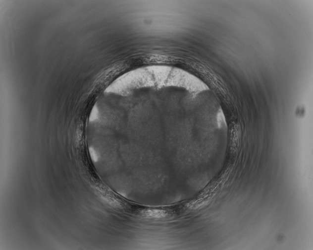 X0000098010361200804251119