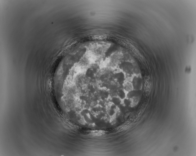 X0000098010363200804251120