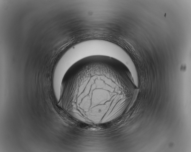 X0000098010364200804251120