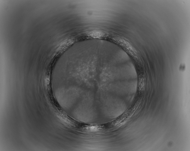 X0000098010365200804251120