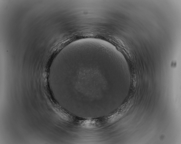 X0000098010366200804251120