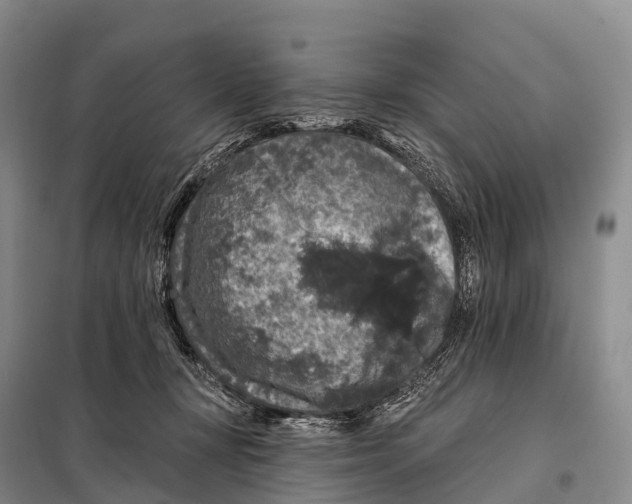 X0000098010367200804251120