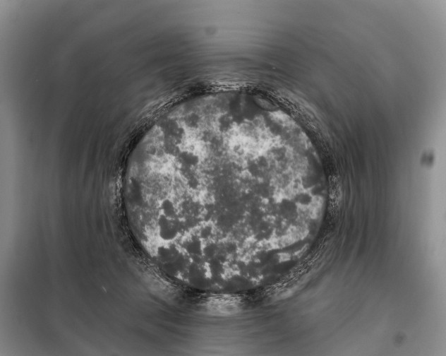 X0000098010369200804251120