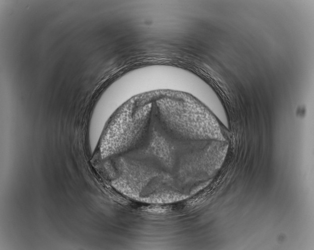 X0000098010370200804251120