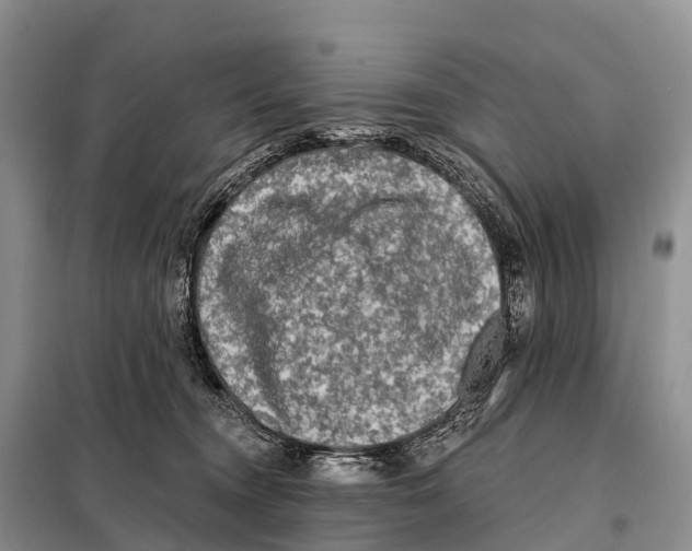 X0000098010372200804251120