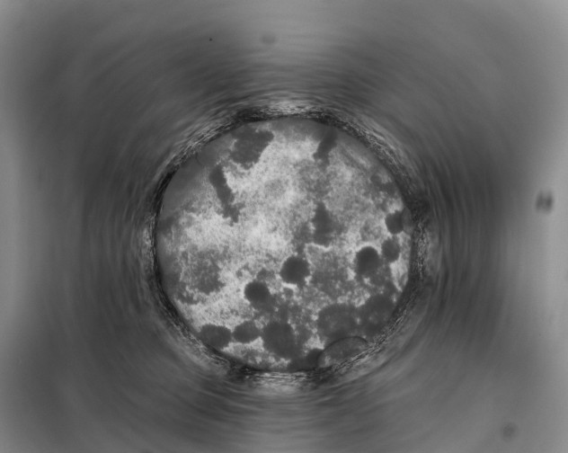 X0000098010373200804251120