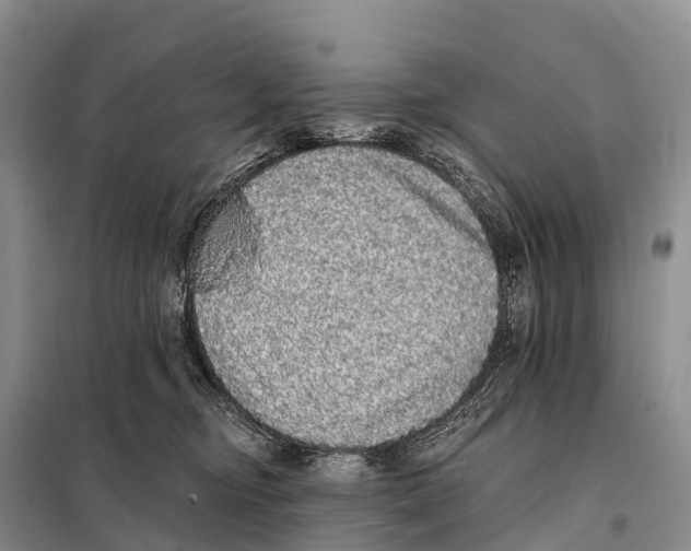 X0000098010374200804251120