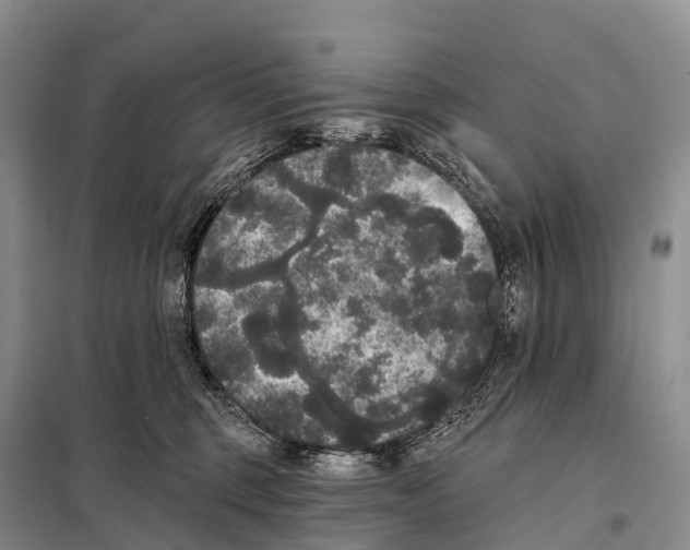 X0000098010375200804251120