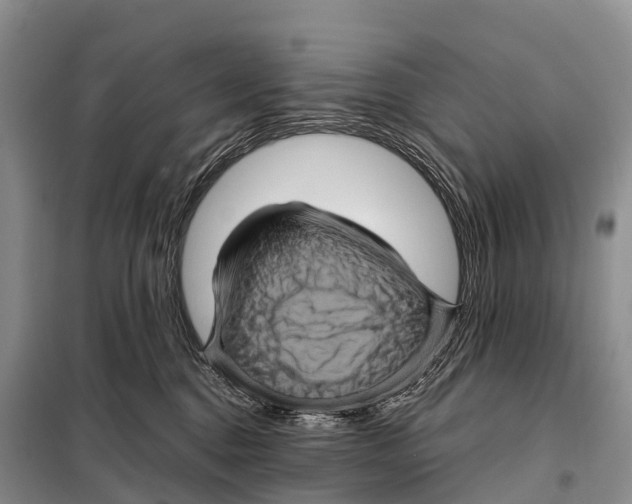 X0000098010376200804251120