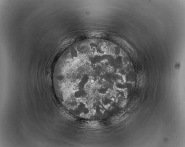 X0000098010377200804251120