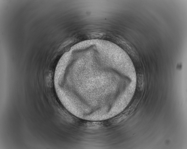 X0000098010378200804251120