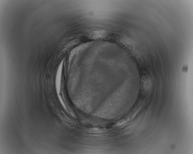 X0000098010380200804251120
