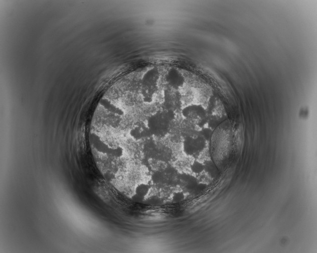 X0000098010381200804251120