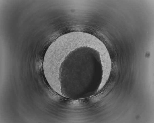 X0000098010382200804251120