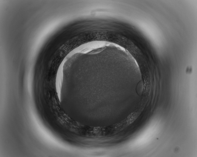 X0000098010383200804251120