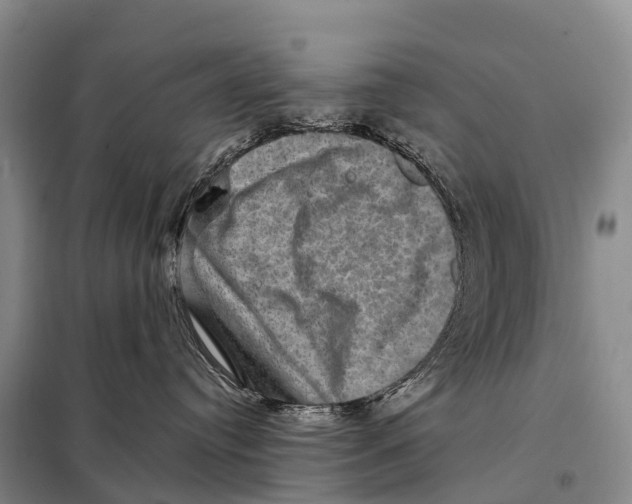 X0000098010384200804251120