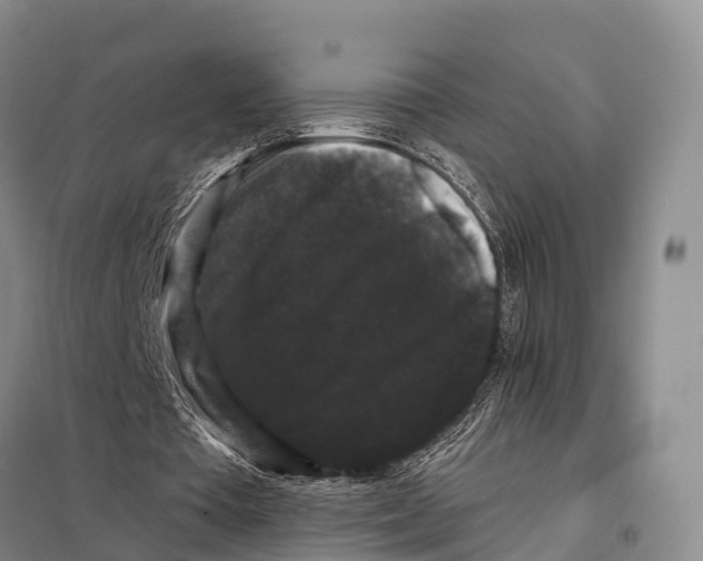 X0000098010385200804251119