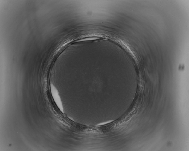 X0000098010386200804251119