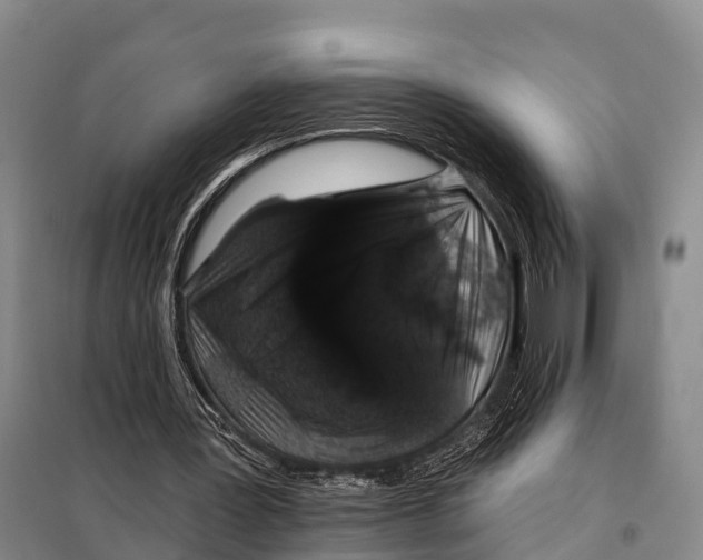 X0000098010387200804251119