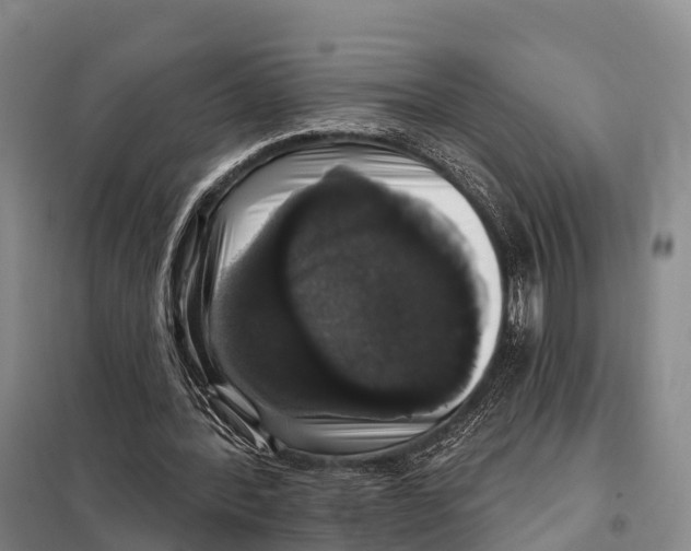 X0000098010388200804251119