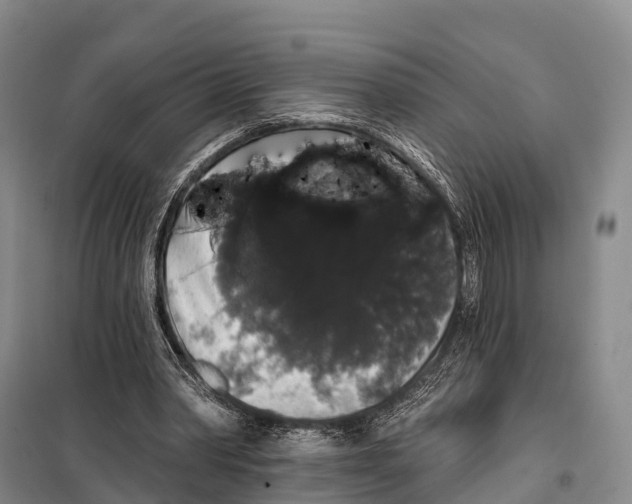 X0000098010390200804251119