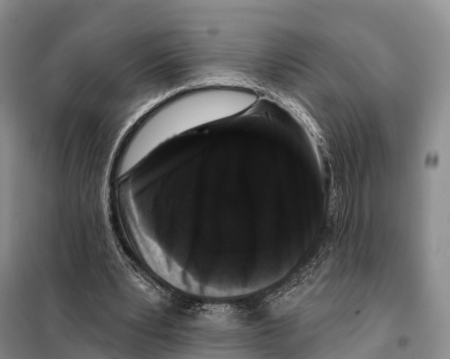 X0000098010391200804251119