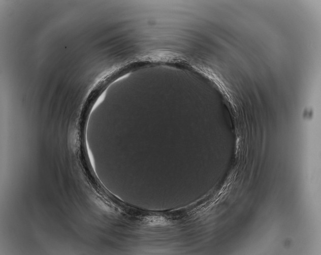 X0000098010392200804251119