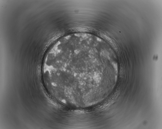 X0000098010394200804251119