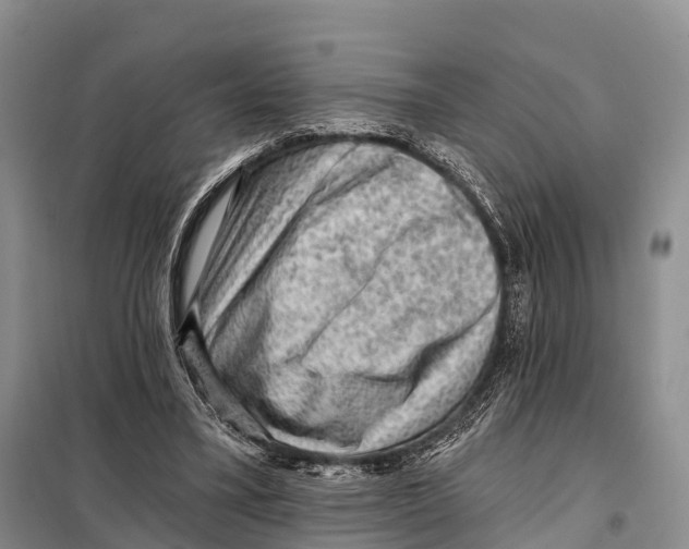 X0000098010395200804251119