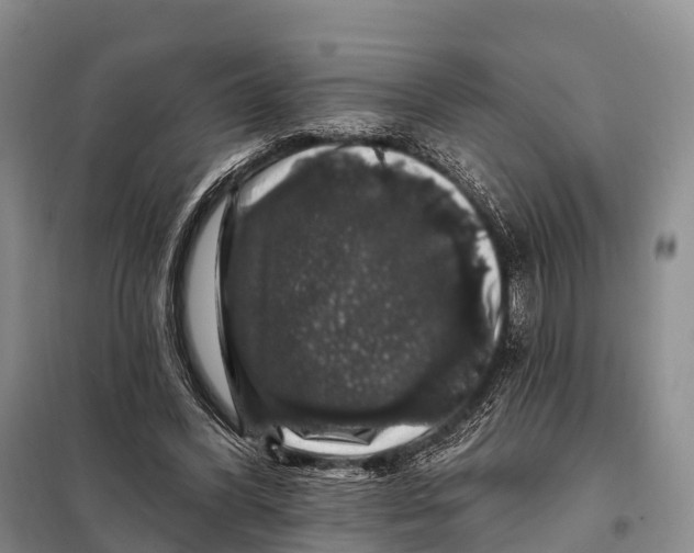 X0000098010396200804251119