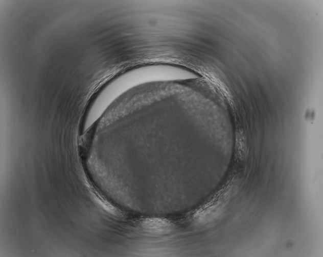 X0000098010397200804251119