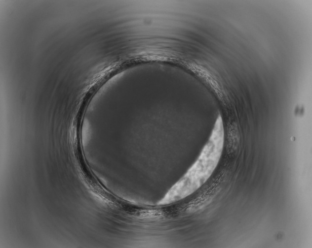 X0000098010398200804251119